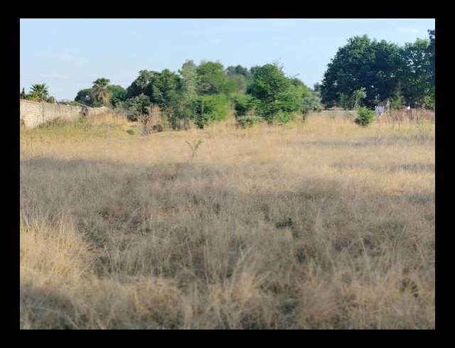 LAND FOR SALE IN GLEN AUSTIN